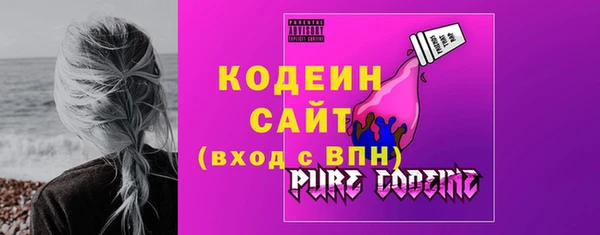 индика Новый Уренгой